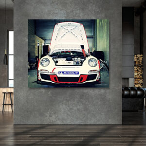Cuadro Porsche GT3