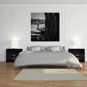 Impresión en blanco y negro de Porsche antiguo