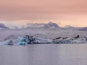 Icebergs azul celeste flotando en laguna glaciar Jökulsárlón Islandia bajo cielo crepuscular rosa delicado con vasto glaciar fondo, paisaje nórdico sereno contemplativo