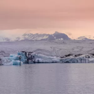 Icebergs azul celeste flotando en laguna glaciar Jökulsárlón Islandia bajo cielo crepuscular rosa delicado con vasto glaciar fondo, paisaje nórdico sereno contemplativo