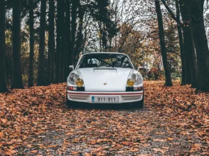 fotografía fine art Porsche 911 Carrera RS colores otoño edición limitada cuadro automóvil
