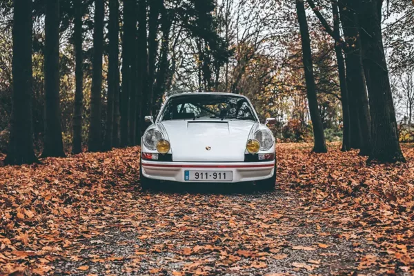 fotografía fine art Porsche 911 Carrera RS colores otoño edición limitada cuadro automóvil