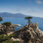 The Lone Cypress Pebble Beach Monterey