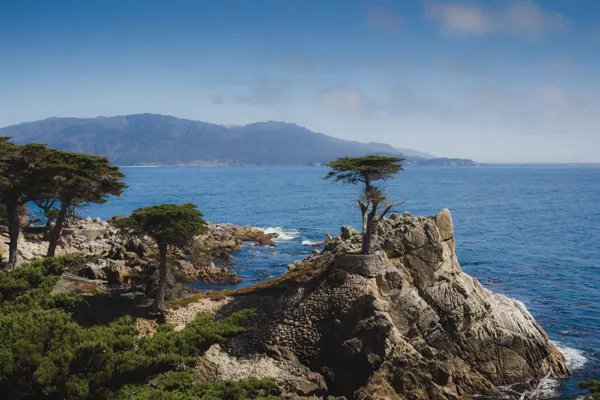 The Lone Cypress Pebble Beach Monterey
